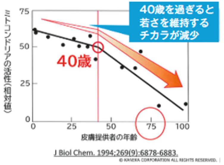 グラフ１